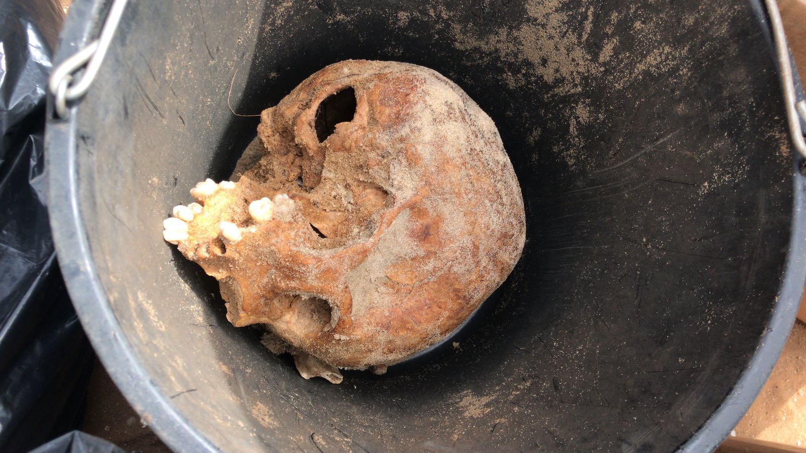 WhatsApp Image 2020-06-17 at 9.30.49 AM (3).jpeg.jpeg